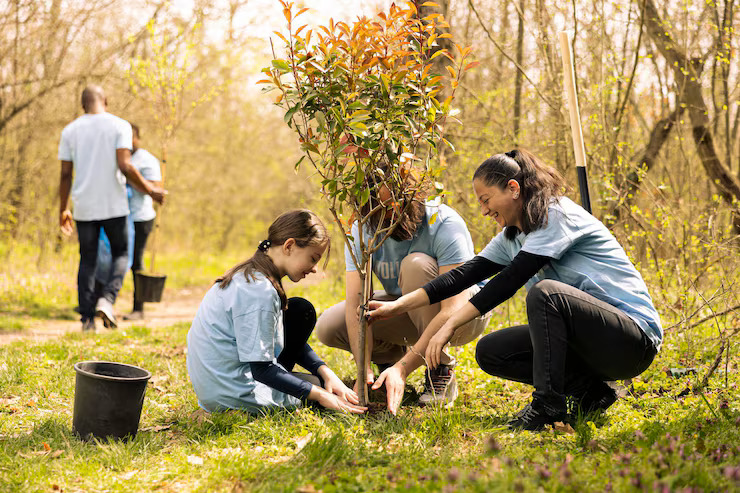 volunteers little kid planting tree covering hole ground 482257 91057